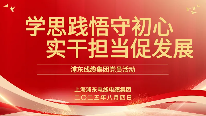 黨員活動(dòng) | 浦東線(xiàn)纜集團(tuán)：學(xué)思踐悟守初心，實(shí)干擔(dān)當(dāng)促發(fā)展